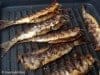 Grilled Sardines