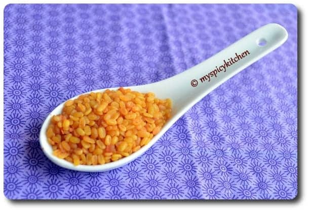 Spoon of baked crunchy mung dal.